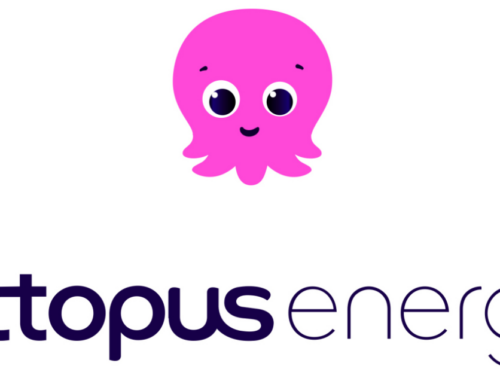Octopus Energy, parliamo dell’operatore di energia che viene dal Regno Unito e acquista green